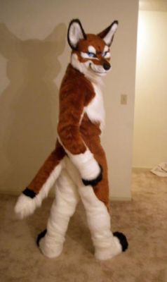 1237419124_junowolf_023.jpg