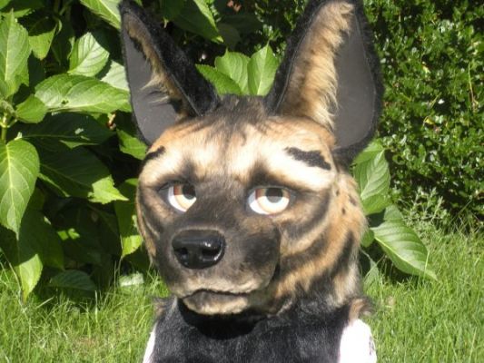 Vignette
Vignette
Keywords: Vignette Hyena