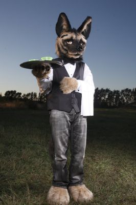 Keywords: Vignette Hyena