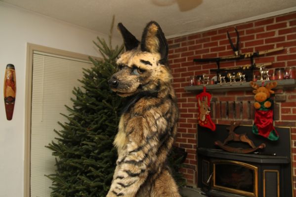 Vignette
Vignette
Keywords: Vignette Hyena