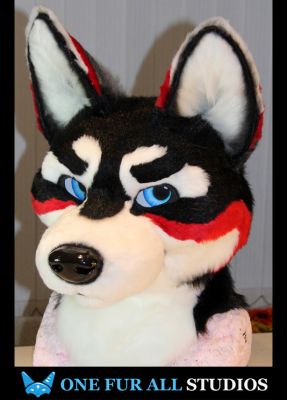 Hamatu
Hamatu
Keywords: Wusky Wolf husky hamatu kokoes