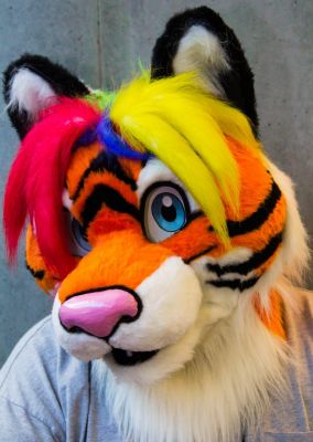 Tora
Tora
Keywords: Tora tiger