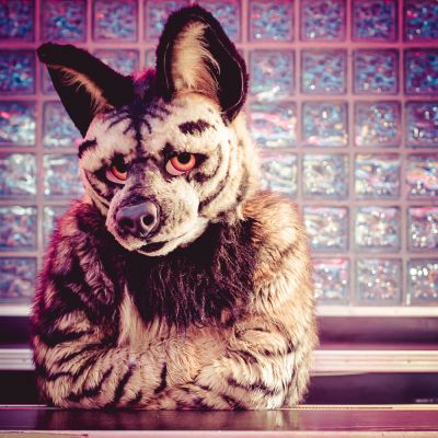 Vignette
Vignette
Keywords: Vignette Hyena