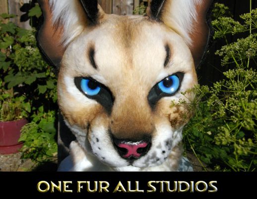 I\'m especially happy with how the eyes turned out. 
