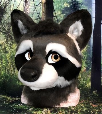 Keywords: dregs, raccoon