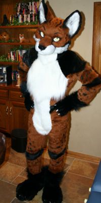 Foxplay1webimg.jpg