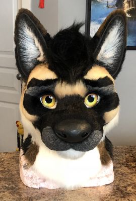 Nitro
Keywords: nitro, german shepard, nitroshep