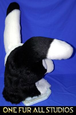 Here is the back of this bun. 
