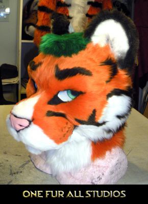 Streak-Final_Head_View1.jpg