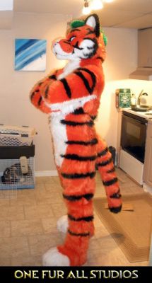 Such a confident tiger!
