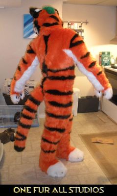 So many stripes!
