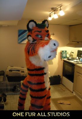 Streak Tiger wants YOU!
