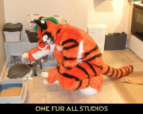 Streak-Fullsuit6.jpg