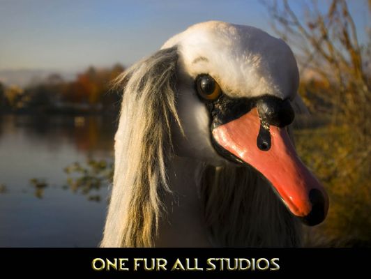 Swandog in her natural habitat
