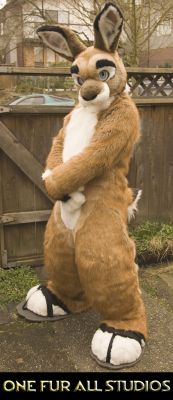 Meet Tahziki - ScribbleFox finally made a suit for himself
