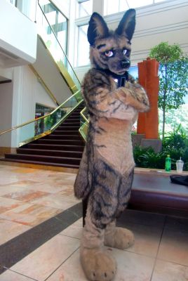 Vignette
Vignette
Keywords: Vignette Hyena