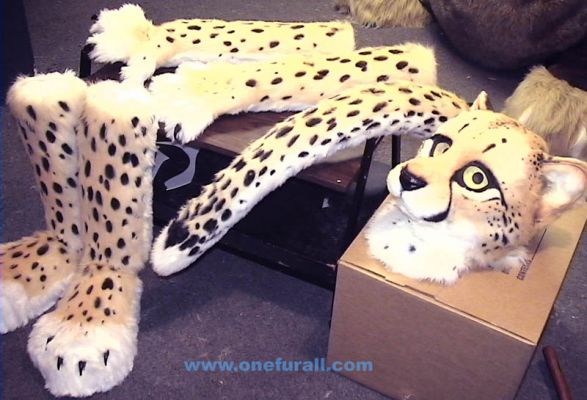 cheetahspots.jpg