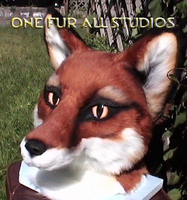 fayfox-head9.jpg