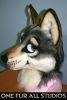 Terkwolf-head1.jpg