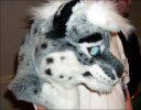 snowleopard-head.jpg