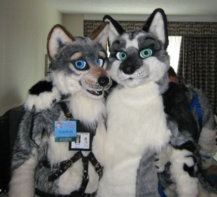 1196381934_terkwolf_11_15_07-_mff_05.jpg