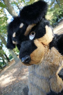 1225152656_xavierrottweiler_dsc02095.jpg