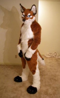 1237419269_junowolf_029.jpg