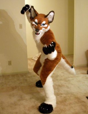 1237419593_junowolf_045.jpg
