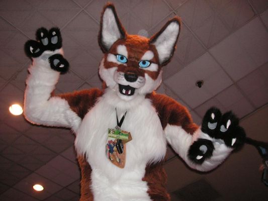1238639935_junowolf_pict0025.jpg