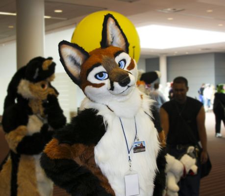 Foxfur
He has a very distinct look.
Keywords: Foxfur fox red