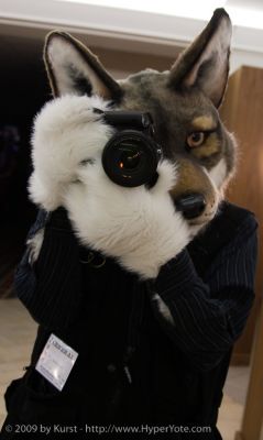 1250476670_kurst_coyotes-are-the-best-photographers.jpg