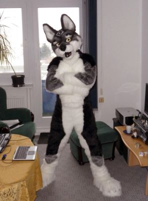 Wolf with attitude!
