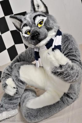 November
November
Keywords: November wolf