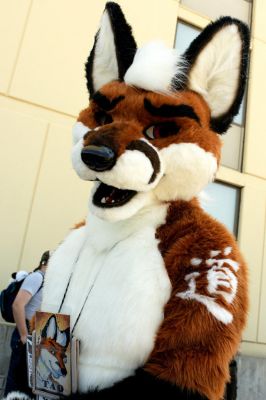 Tao Fox
