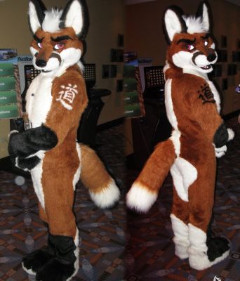 Tao Fox

