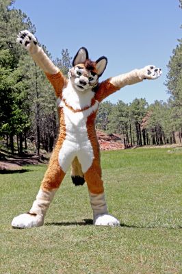 Kartfox
Kartfox
Keywords: Kart fox red