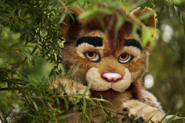 Reeve
Reeve
Keywords: Reeve lion