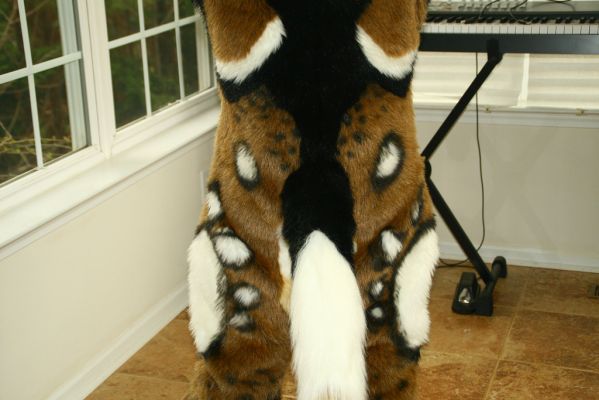 Dionyz
Dionyz
Keywords: Dionyz african wild dog