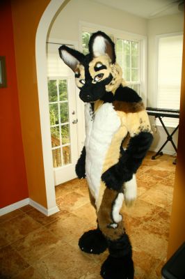 Dionyz
Dionyz
Keywords: Dionyz african wild dog
