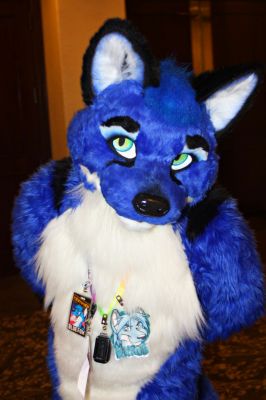 Fayroe
Fayroe
Keywords: Fayroe blue fox