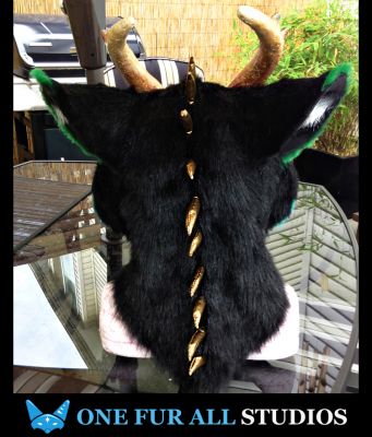 ACH TE’KHAN
ACH TE’KHAN
Keywords: ACH TE’KHAN dragon wolf draolf