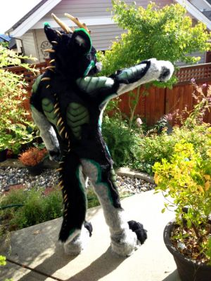 ACH TE’KHAN
ACH TE’KHAN
Keywords: ACH TE’KHAN dragon wolf draolf