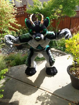 ACH TE’KHAN
ACH TE’KHAN
Keywords: ACH TE’KHAN dragon wolf draolf