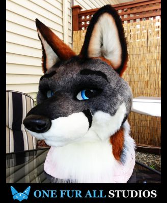 Repo Fox
Repo Fox
Keywords: Repo Fox grey