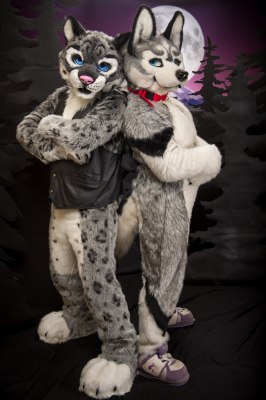 Ioco husky and Tremelo snow leopard posing together!

