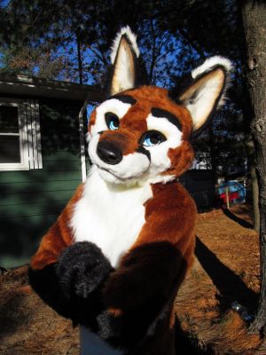 Speedfox
