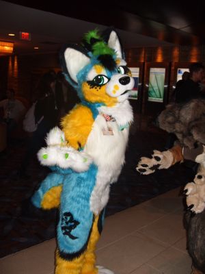 Syber
Syber
Keywords: Syber coyote female