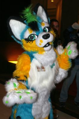 Syber
Syber
Keywords: Syber coyote female