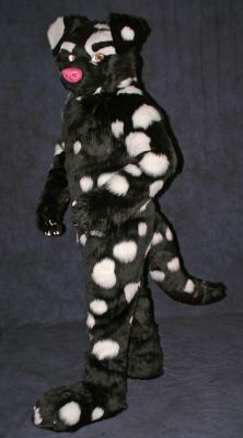 Domino
