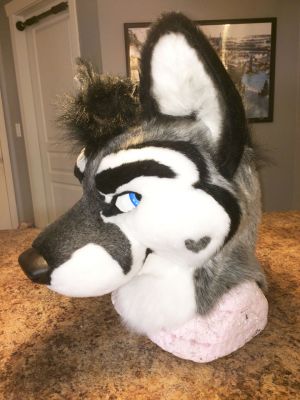 1434659841_onefurall_huskers_-_v2_-_onefurallstudios.jpg